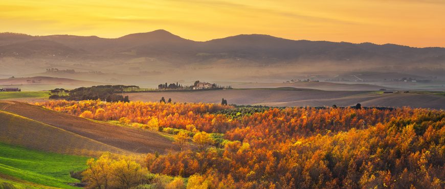 Autumn, panorama in Tuscany, rolling hills, woods and fields on sunset. Rural landscape. Pisa, Italy Europe