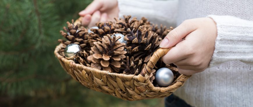 Fir cones in the hands of teenager. New Year, Christmas mood.